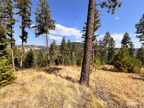 0 Tbd Little Goosmus Rd, Curlew, WA 99118