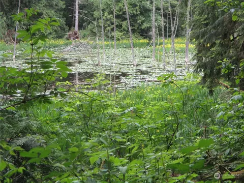 0 E Blue Heron Acreage, Belfair, WA 98528