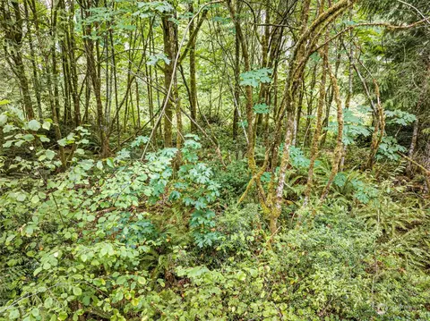 0 Lackey Rd NW, Vaughn, WA 98394