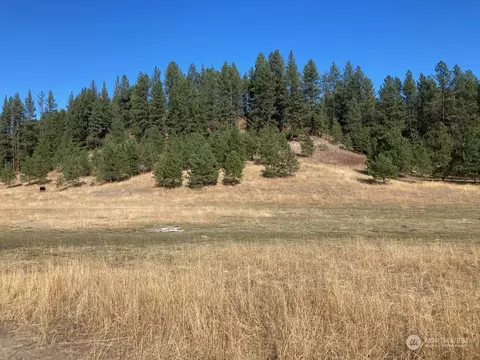 0 NW Ne, Tonasket, WA 98855