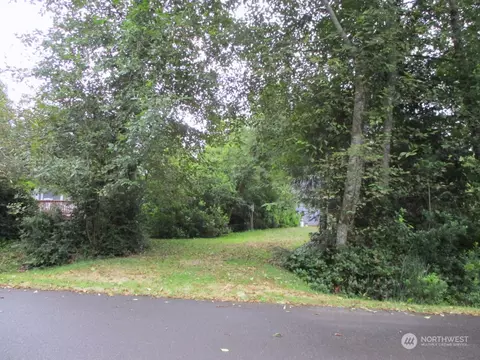 171 Goldeneye, Ocean Shores, WA 98569