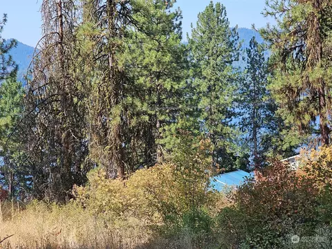 8 Cowichan Dr, Inchelium, WA 99138