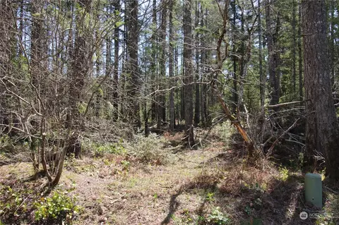 80 N Carp Pl, Hoodsport, WA 98548