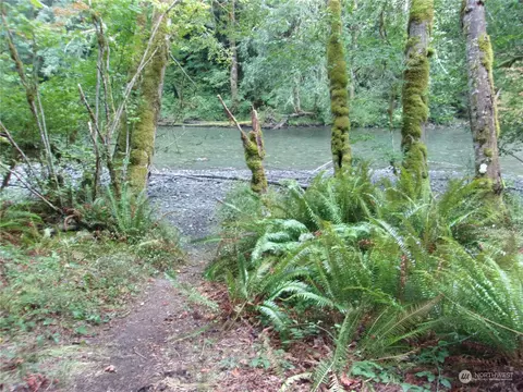 0 Mossy Ln, Brinnon, WA 98320