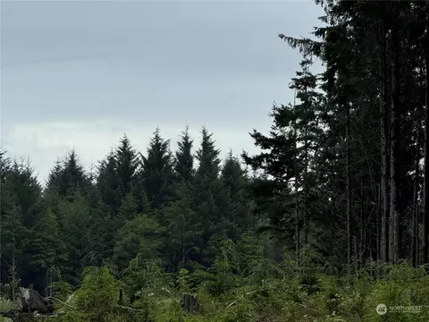 3936 State Rt 109 Hwy, Pacific Beach, WA 98571