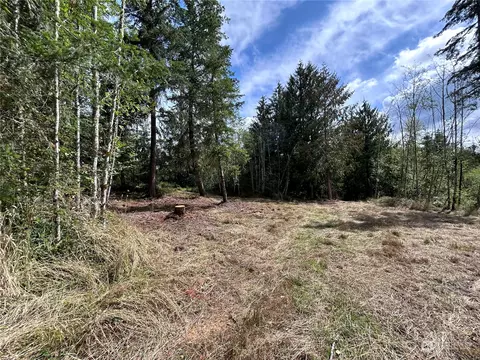 647 George Taylor Rd, Silverlake, WA 98645