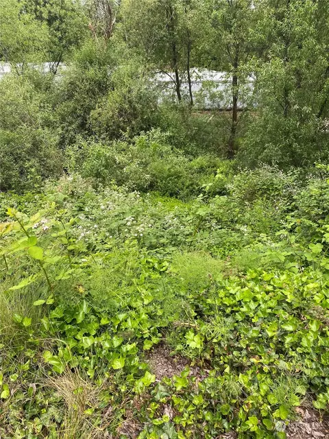 0 Cowlitz St E, Castle Rock, WA 98611