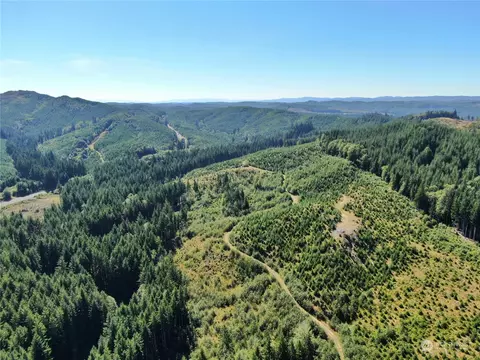 0 Off Of Lund Rd, Cosmopolis, WA 98537
