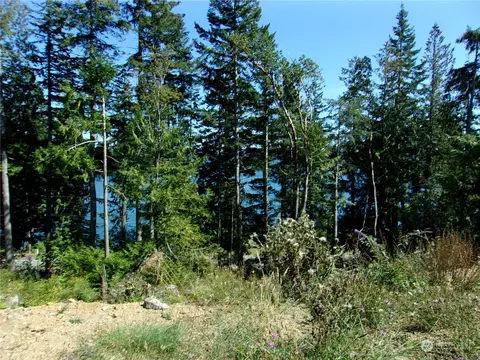 0 Nka Tog Rd, Brinnon, WA 98320