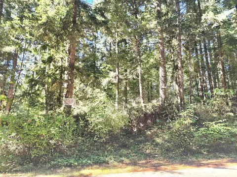 22224 Bluewater Dr SE, Yelm, WA 98597