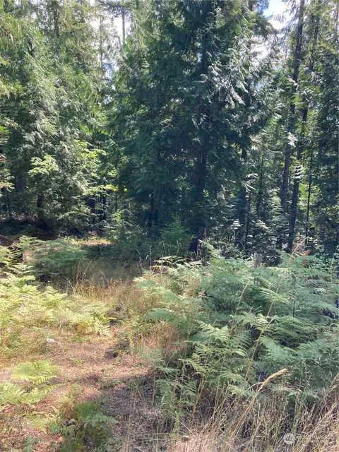 101 N Dow Ridge Rd, Hoodsport, WA 98548