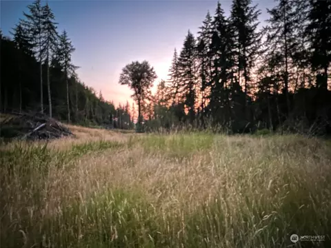 3018 King Rd, Chehalis, WA 98532 photo 5