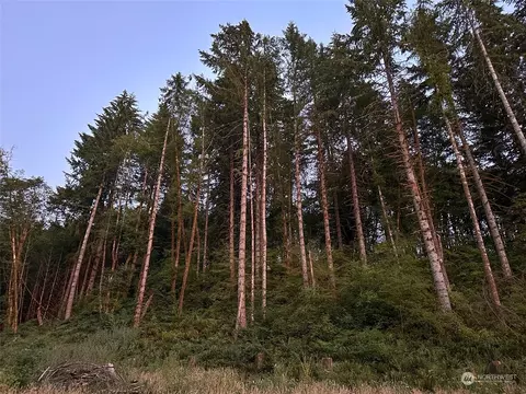3018 King Rd, Chehalis, WA 98532 photo 3