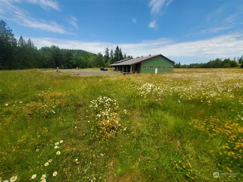 1377 Hining Rd, Winlock, WA 98596 photo 10