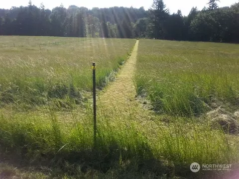 1377 Hining Rd, Winlock, WA 98596 photo 9