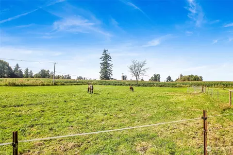 8369 Gillies Rd, Everson, WA 98247 photo 40