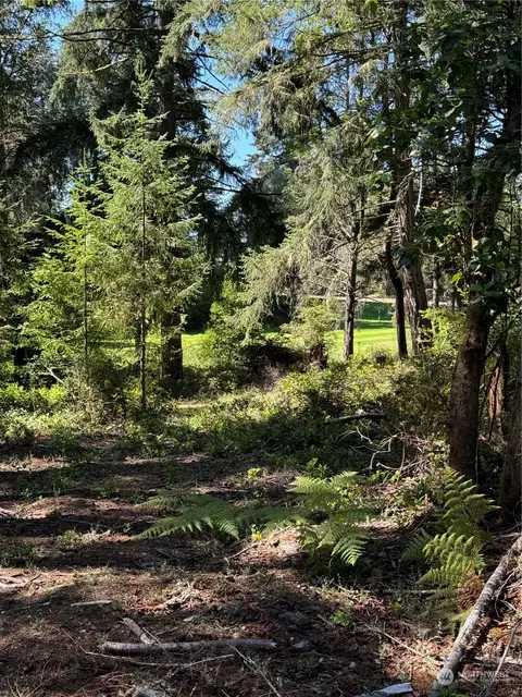 12014 Country Club Dr, Anderson Island, WA 98303
