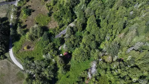 4141 E Grapeview Loop Rd, Grapeview, WA 98546 photo 19