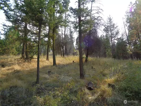 59 Lot Red Feather Rd, Riverside, WA 98849