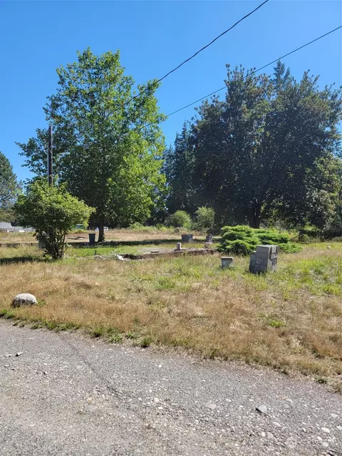 8411 356th St S, Mckenna, WA 98558