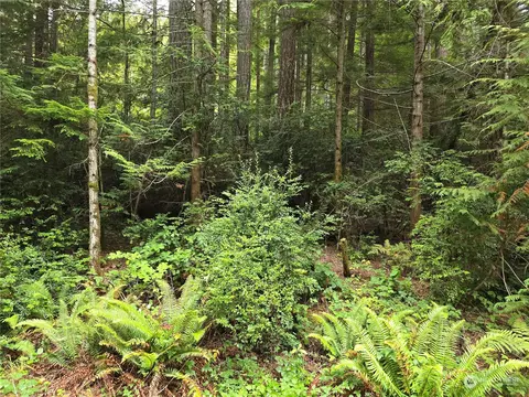 41 N Paradise Dr, Lilliwaup, WA 98555