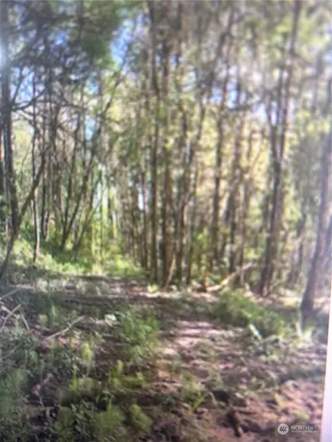 0 Cris Rd, Kelso, WA 98626