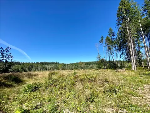 4273 SE Lot C Se Lynch Rd, Shelton, WA 98584