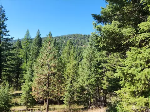 0 Nnn Turner Lake Rd, Tonasket, WA 98855