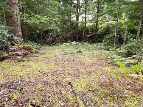 0 NE Nnn Ne Lake Christine Rd, Tahuya, WA 98588
