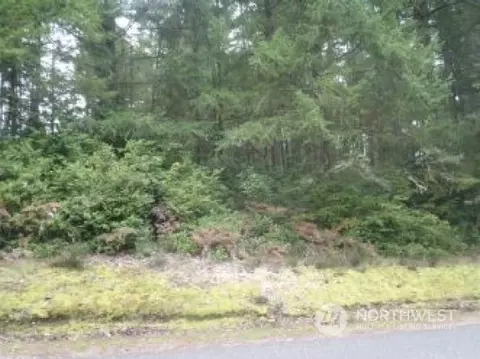 11615 Yoman Rd, Anderson Island, WA 98303