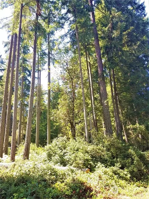 11312 Breaker Way, Anderson Island, WA 98303