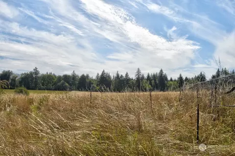 199 Jones Rd, Winlock, WA 98596 photo 4