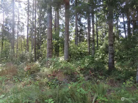 0 Nnn Alpenridge Rd, Kelso, WA 98626