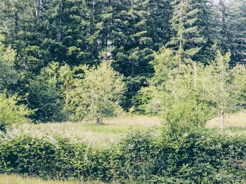 0 Nnn Vashon Hwy SW, Vashon, WA 98070