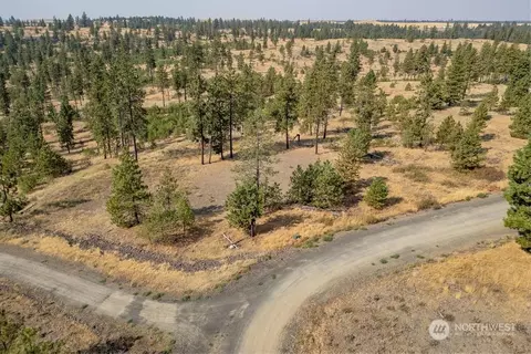 1 Lot Dalloul Meadow Ln, Davenport, WA 99122