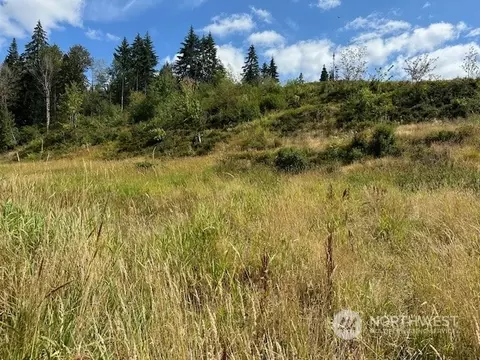 0 Zenkner Valley Rd SW, Centralia, WA 98531