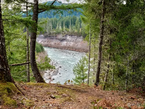2 Lahar Ln, Cougar, WA 98616