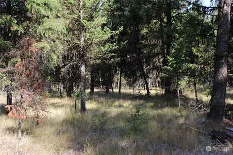111 Tbd Morgan Mtn, Tonasket, WA 98855