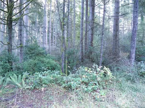10117 Lake Florence, Anderson Island, WA 98303