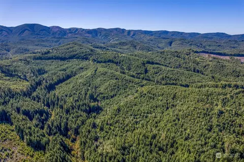 2 Dell Creek Mainline Rd, Naselle, WA 98638
