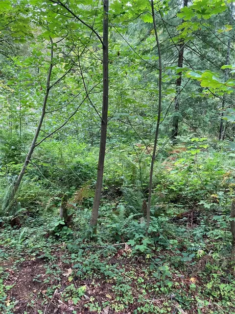 191 N Dow Mountain Rd, Hoodsport, WA 98548