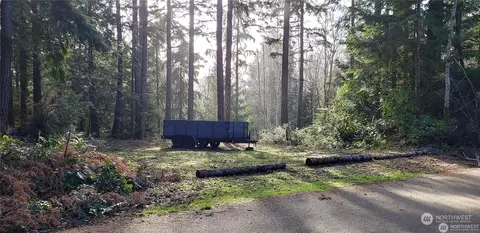 66 Trail Head Loop, Lilliwaup, WA 98555