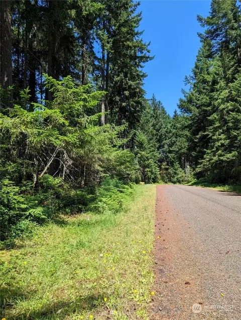10006 129th Avenue Ct, Anderson Island, WA 98303