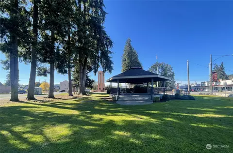 26104 162nd Ave E, Orting, WA 98360 photo 39