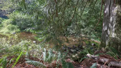 26104 162nd Ave E, Orting, WA 98360 photo 31