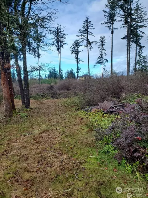2805 224th St E, Spanaway, WA 98387 photo 18