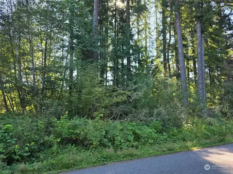 55415 317th Ave E, Ashford, WA 98304