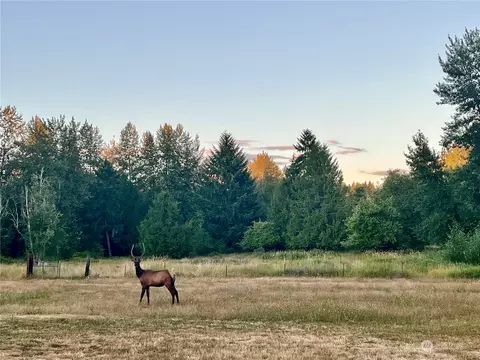 Other - 30907 8th Ave E, Roy, WA 98580 photo 10 of 11