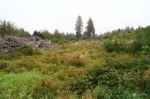 0 Off Of Wynooche Valley Rd, Montesano, WA 98563