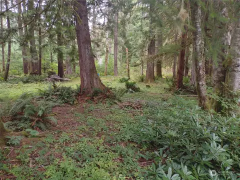 38305 568th Ct E, Ashford, WA 98034